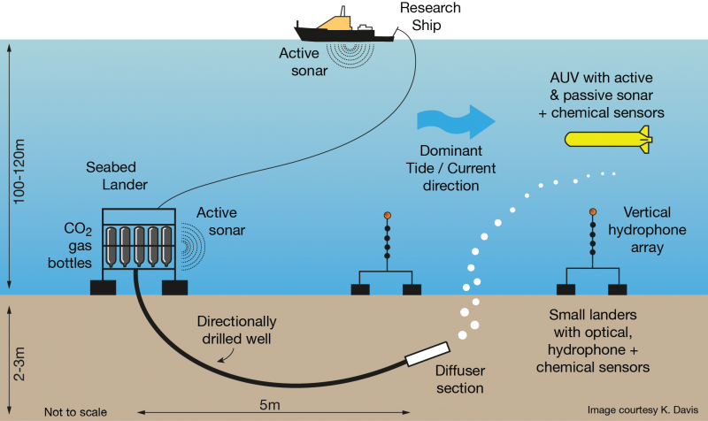 Schematic of the 2019 release experiment.