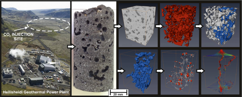 sample from injection site