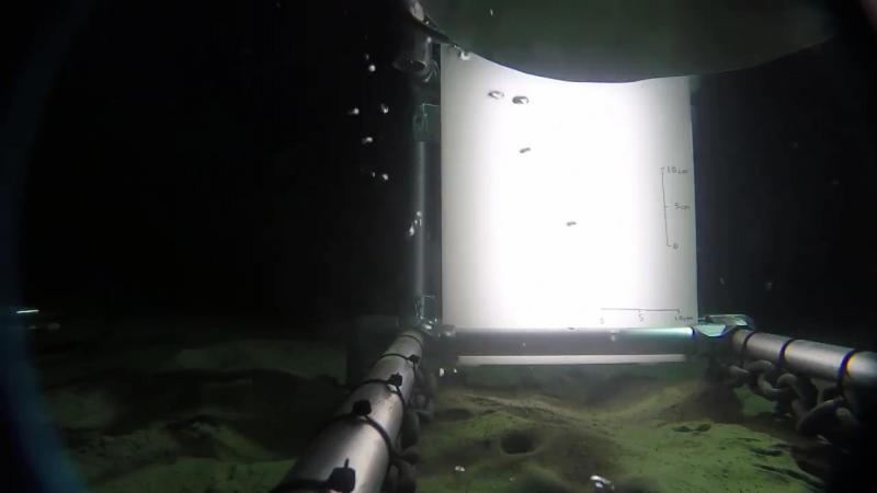 Optical lander with bubbles in the foreground